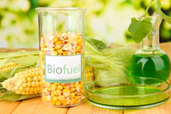 Kingsnorth biofuel availability